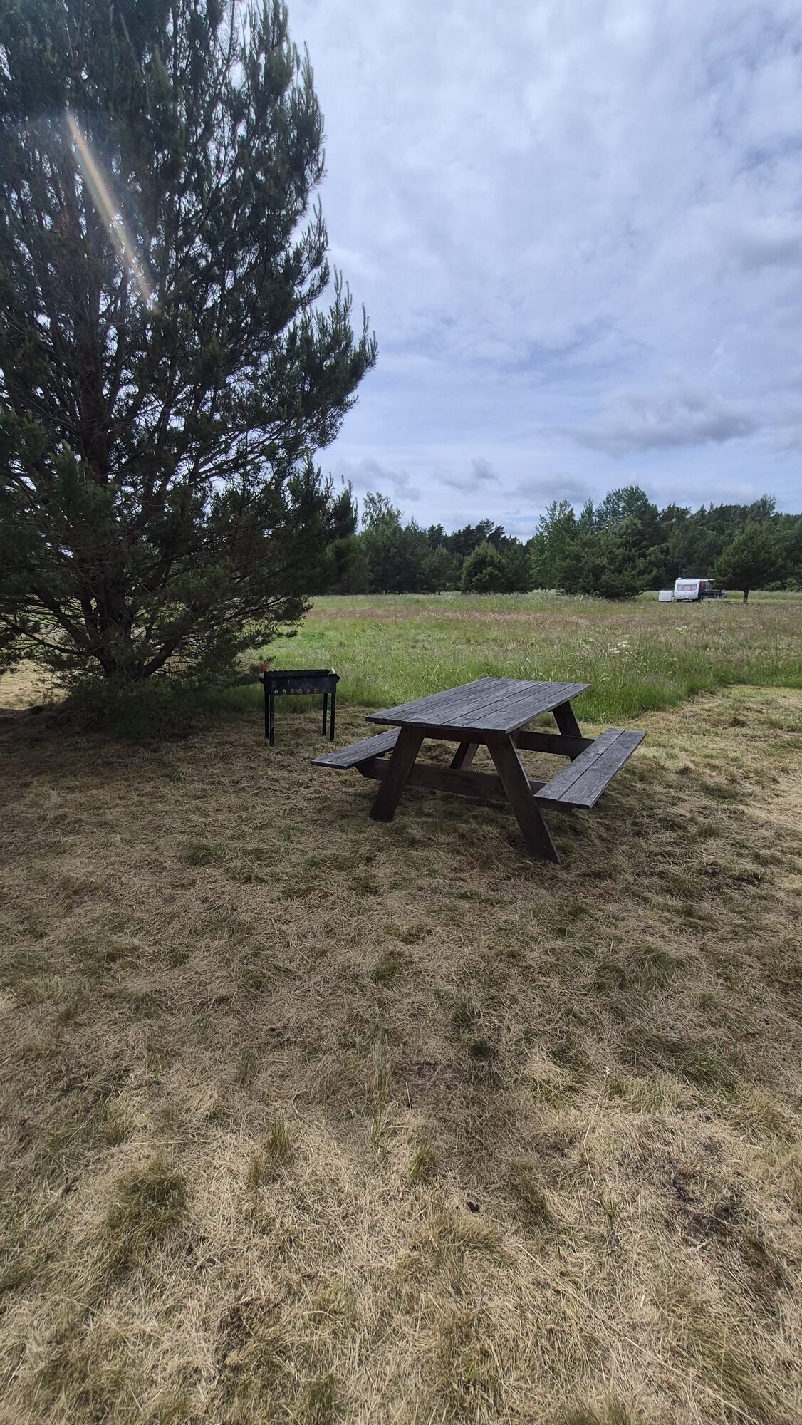 Piknika galds priežu ēnā